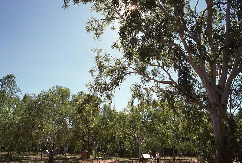 WT 0400 096-34 Australia.jpg